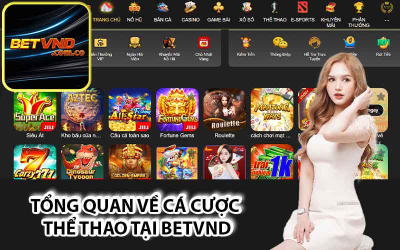 Tổng quan về cá cược thể thao tại Betvnd